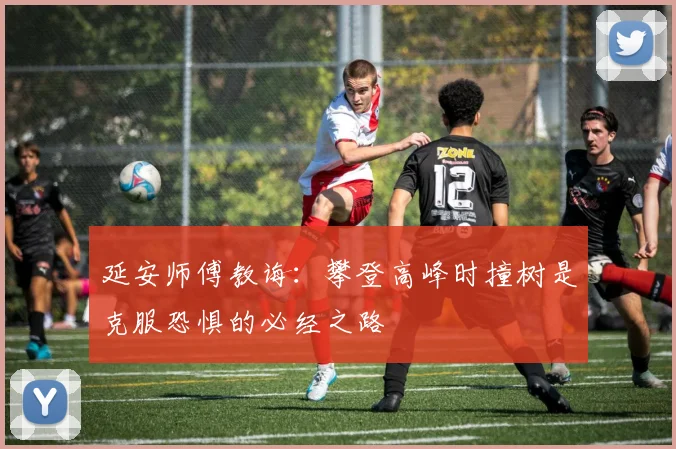 延安师傅教诲：攀登高峰时撞树是克服恐惧的必经之路